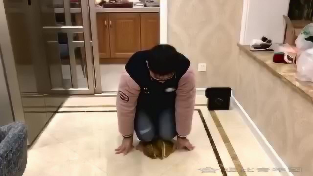 男友福利跪榴莲的正确姿势据说一点都不疼