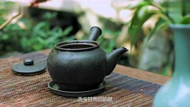 品味生活说茶——白茶