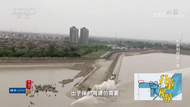 为了保护海塘的安全,老盐仓河道上建有一条拦河丁坝