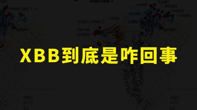 XBB到底会不会引发腹泻?为什么传染力极强?顶级论文中就有答案