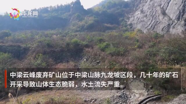 新春走基层 | 重庆这座废弃矿山何以“披绿”又“生金”?