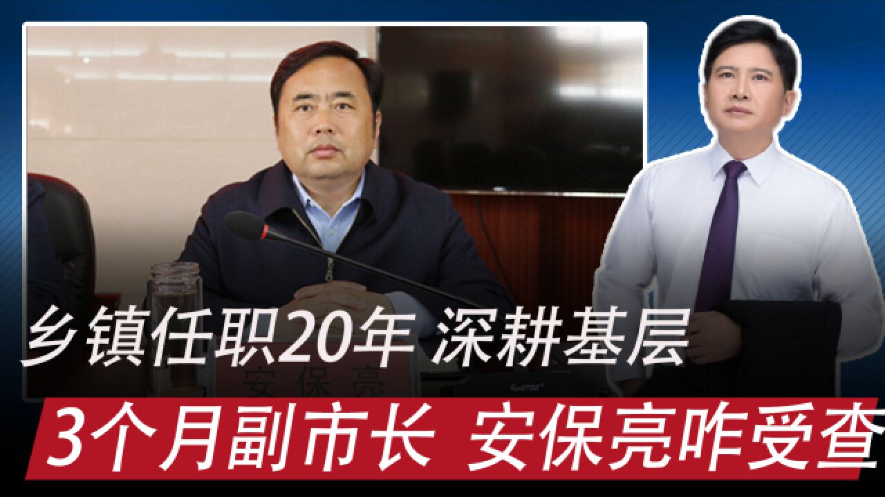 落马者 |乡镇20年,才当3个月平顶山副市长,安保亮为啥受查