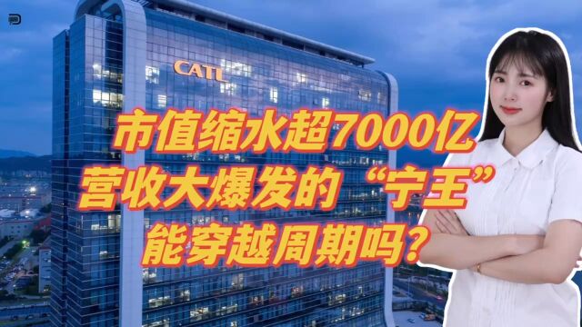 市值缩水超7000亿,营收大爆发的“宁王”,能穿越周期吗?