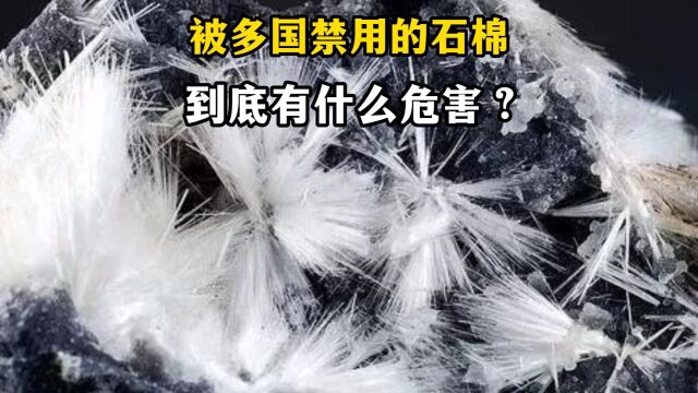 被多国禁用的石棉,对身体的危害有多大?