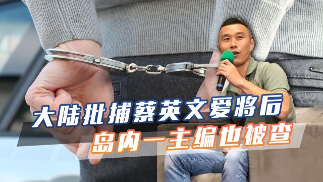 对“台独”绝不留情,大陆批捕蔡英文爱将后,岛内一主编也被调查