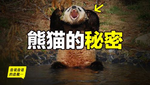熊猫：真实存在的上古恐惧，为什么只有人类觉得大熊猫很可爱？