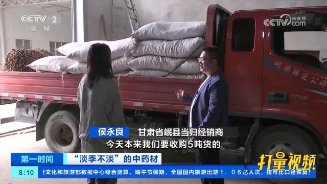 “淡季不淡”!甘肃岷县当归种植户不愿出货,经销商不敢接单