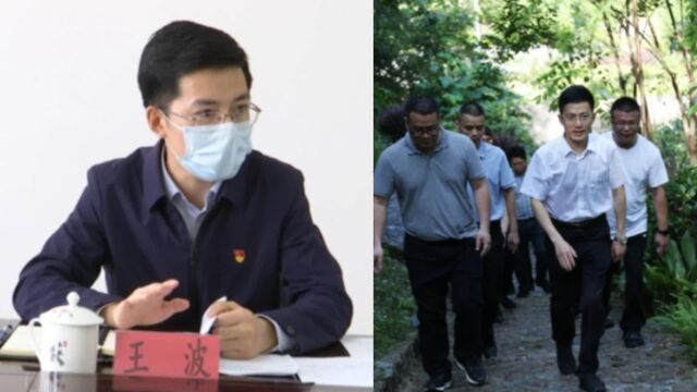 85后清华博士拟升副厅,29岁任县长,33岁任县委书记