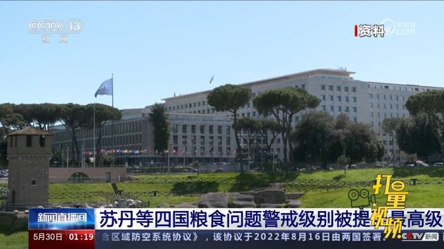 苏丹等四国粮食问题警戒级别被提至最高,需国际社会采取紧急行动