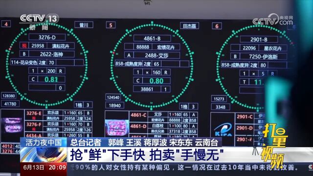 鲜花经纪人抢“鲜”下手快,拍卖“手慢无”