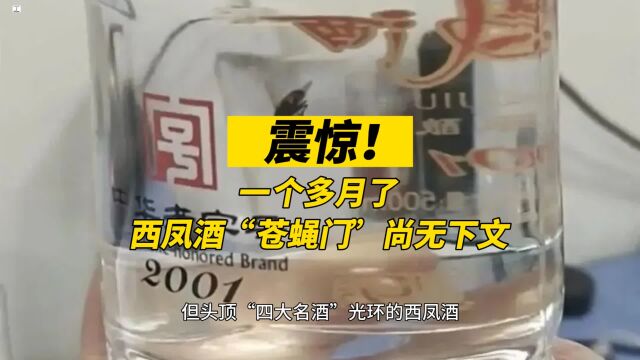 震惊!一个多月了,西凤酒“苍蝇门”尚无下文