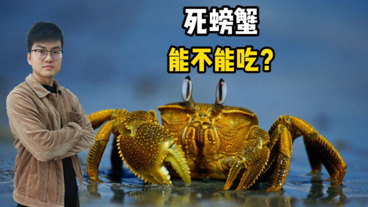 只因吃了死螃蟹,被确诊急性脊髓脊膜炎,为啥死螃蟹不能吃?