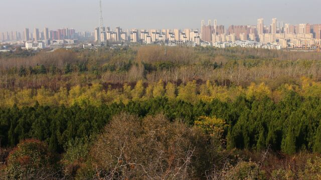 西安杜陵:汉宣帝陵四周森林密布,帝皇陵园变身都市森林公园