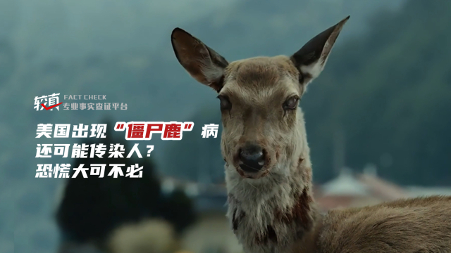 美国出现"僵尸鹿"病,还可能传染人?恐慌大可不必
