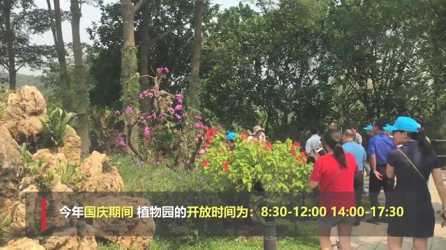 国庆赏花?东莞植物园300多种兰花等你来观赏!