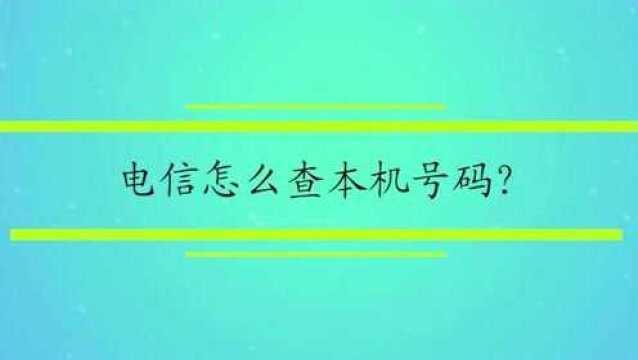 电信怎么查本机号码?