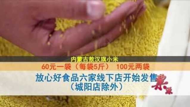 新米上市:敖汉小米今天开售啦