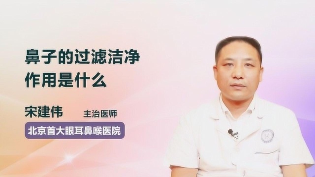 你知道鼻子的过滤洁净作用是什么吗?医生终于讲清楚了