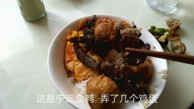 湖南宁远县12块一位的自助餐,有特色血鸭有酿豆腐,感觉很划算!