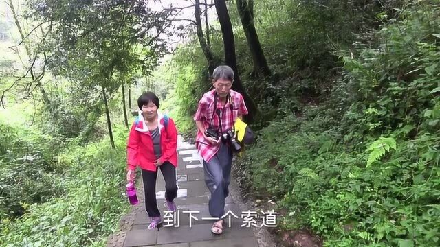 四川成都青城山后山门票20元,没看到什么景点,缆车却乘四次上山下山