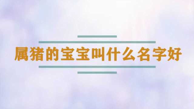 属猪的宝宝叫什么名字好