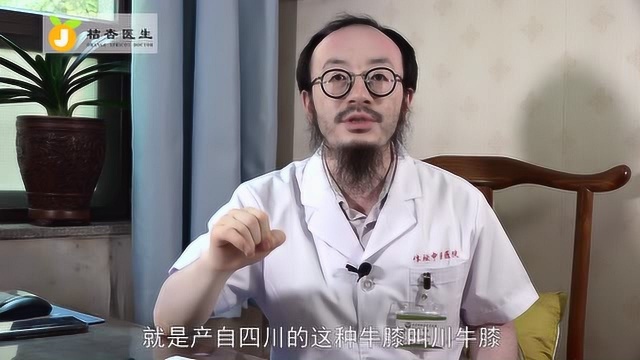 【健康】中药材川牛膝的作用和疗效,治疗膝关节疼痛非常有效!