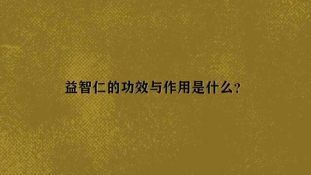 益智仁的功效与作用是什么?