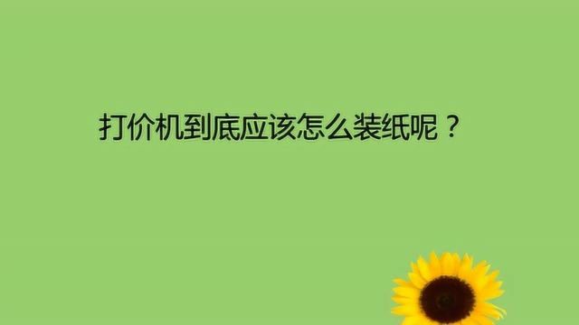 打价机到底应该怎么装纸呢?