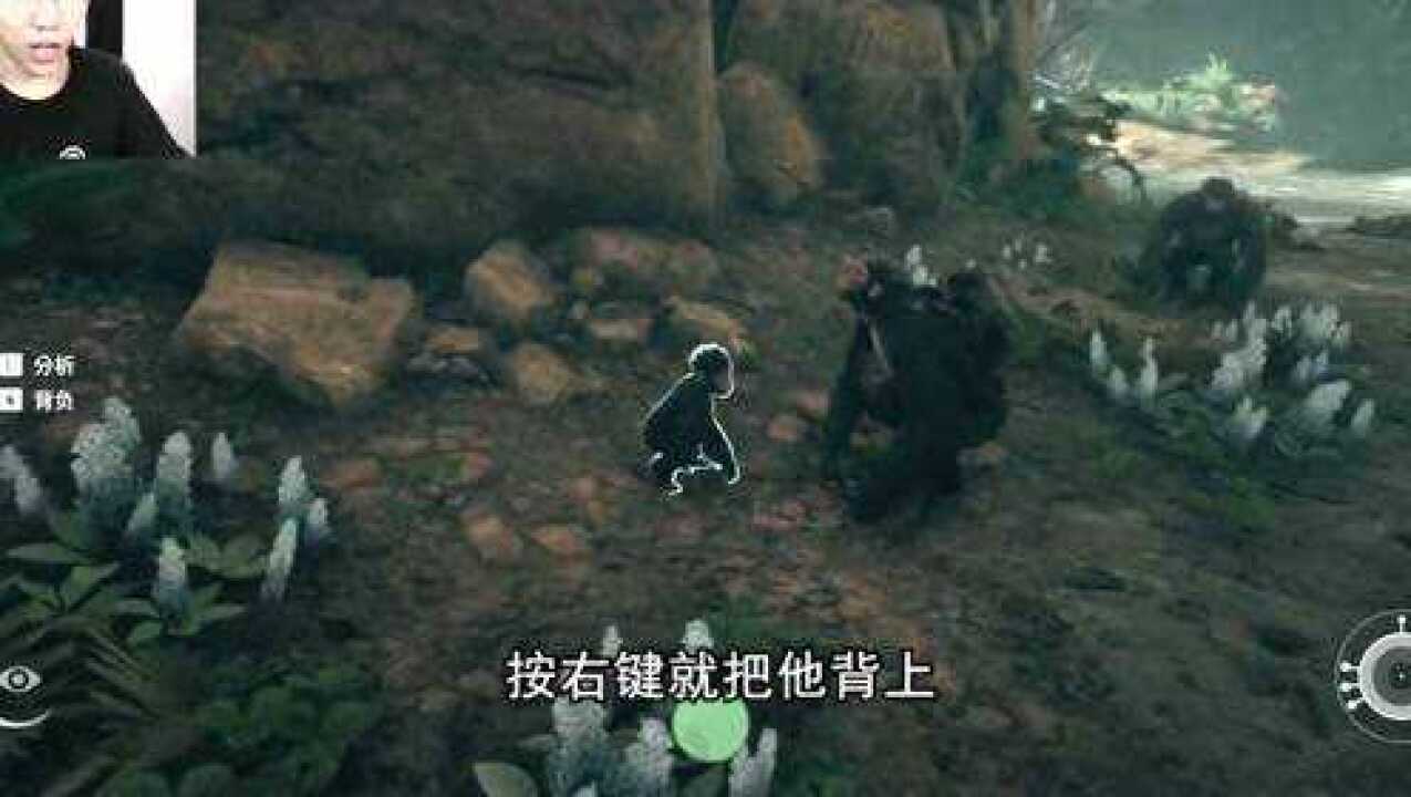 鲤鱼解说：人类进化模拟器，我成了猩猩里的首领_高清