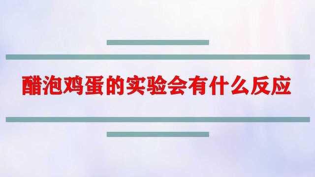 醋泡鸡蛋的实验会有什么反应