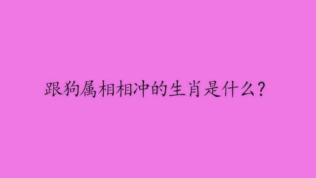 跟狗属相相冲的生肖是什么?