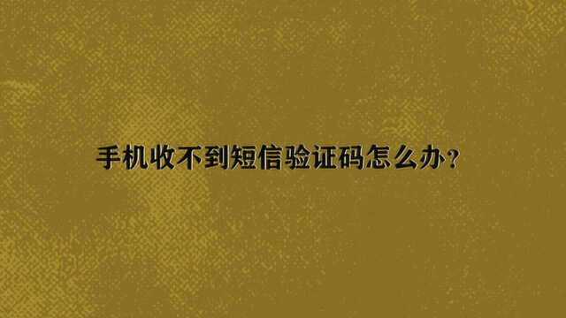 手机收不到短信验证码怎么办?