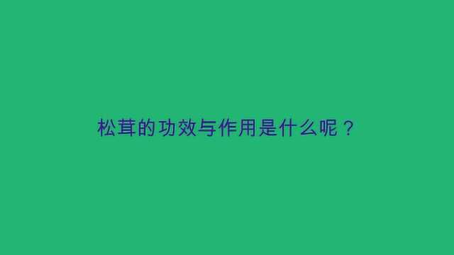 松茸的功效与作用是什么呢?