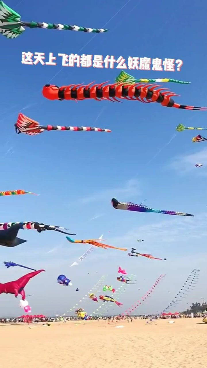 天上飞的这些风筝真的是多种多样