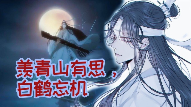 《魔道祖师》蓝忘机问灵十三载!等一不归人!蓝湛精美合集!