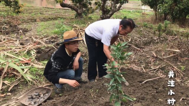 北漂青年十年后回到家乡,曾以为会在北京混出天地,如今不堪回首