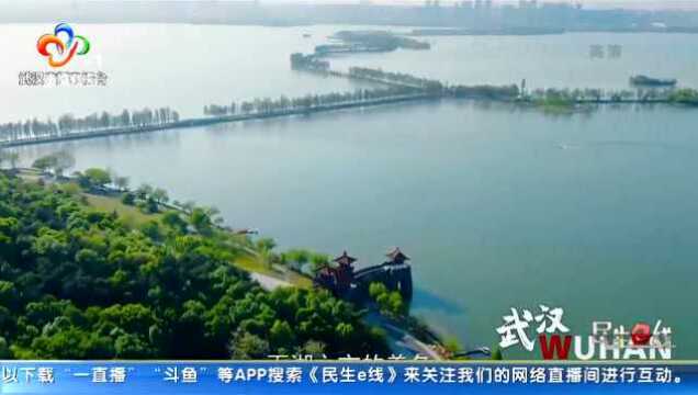 听一场“海绵城市”年会:原来我们的城市这样“亲”水