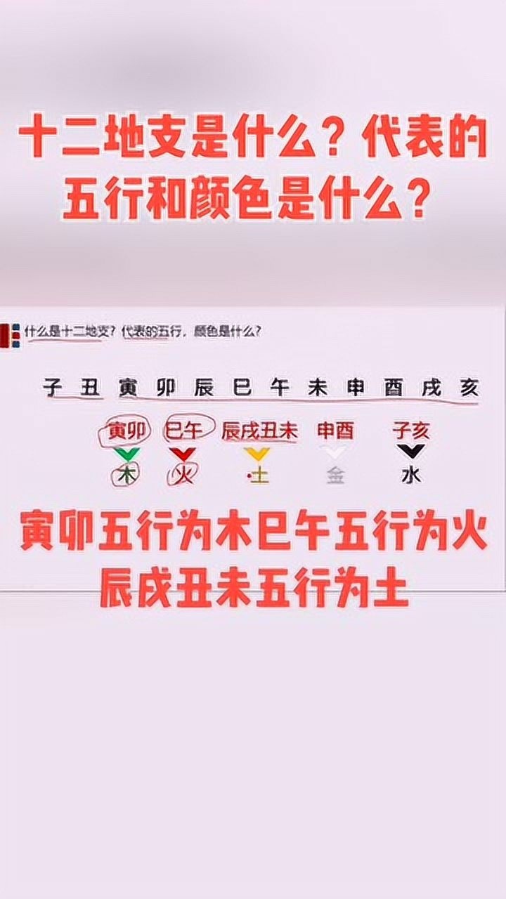 八字中十二地支是什么?代表的五行和颜色是什么?