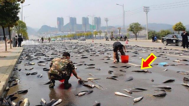 怪事?这里下了4场“怪雨”