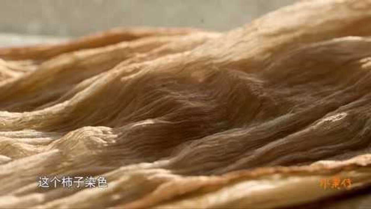 水果传：柿染也被称为太阳之染，晾晒中天然单宁酸与胶状物质固化成高分子_高清1080P在线观看平台_腾讯视频