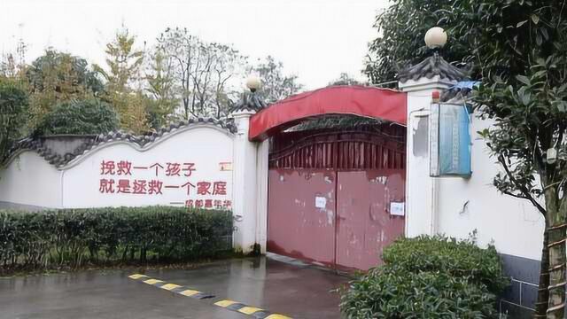 成都嘉年华违规办学被教育局关停,前学员3分钟曝光内部详情