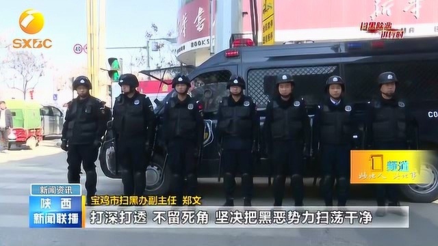 扫黑除恶!宝鸡市共打掉黑社会性质组织5个,恶势力集团29个