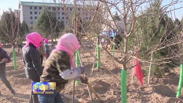 职教中心新校区绿化工程稳步推进