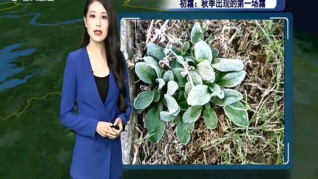 上海空气质量 昨晚达到轻度污染级别 aqi仍然继续上升 避免高强度运动