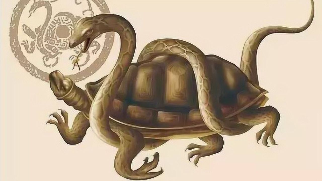 古代传说的上古四大神兽之——玄武!