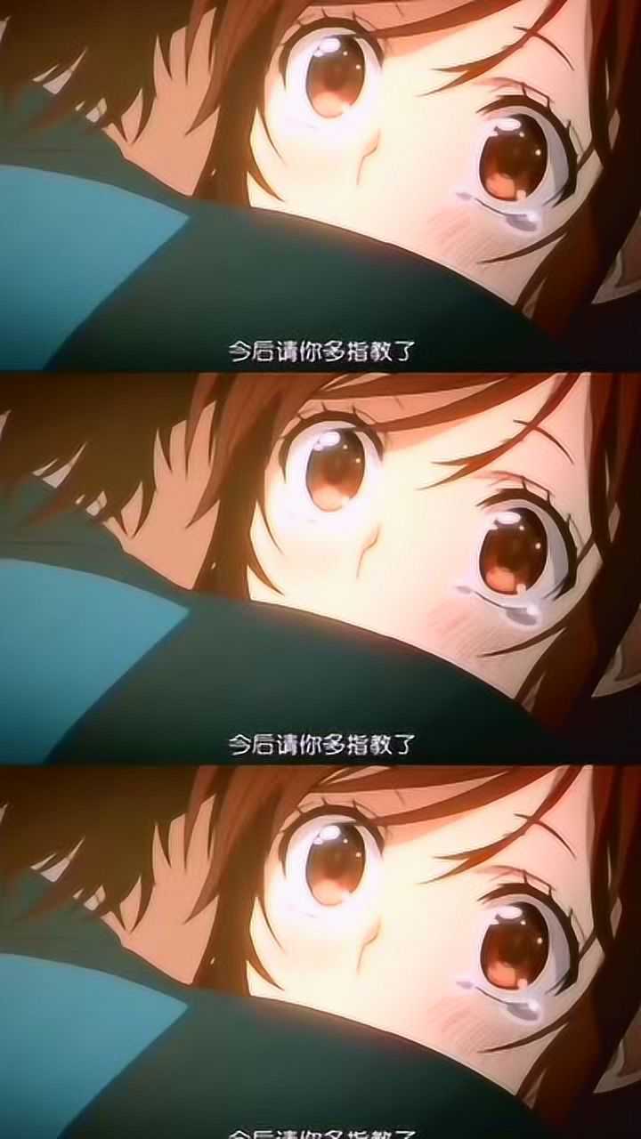 动漫告白实行委员会甜甜的恋爱番,受不了爱情小助手