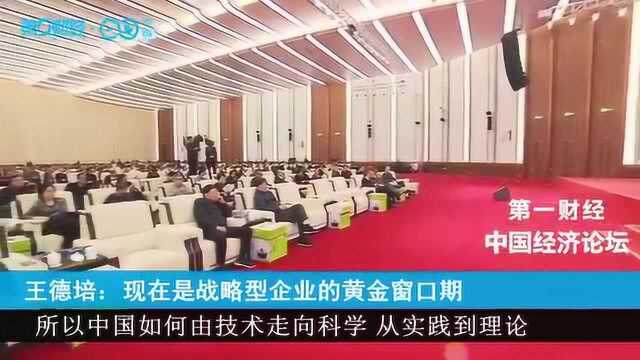 王德培:现在是战略型企业的黄金窗口期