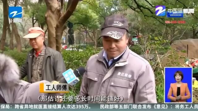 私家珍藏!杭州:西湖景区有个浴鹄湾 搭建亲水台专为拍照