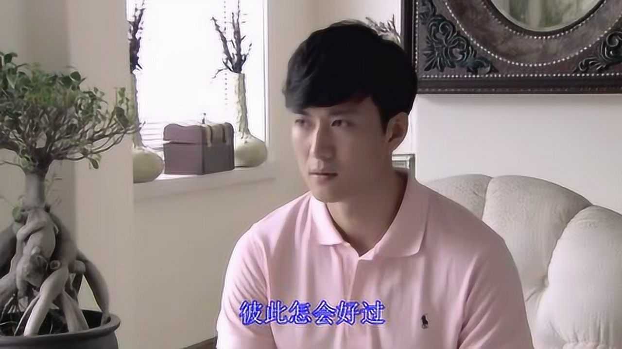 Thumbplayer Poster Plugin Image