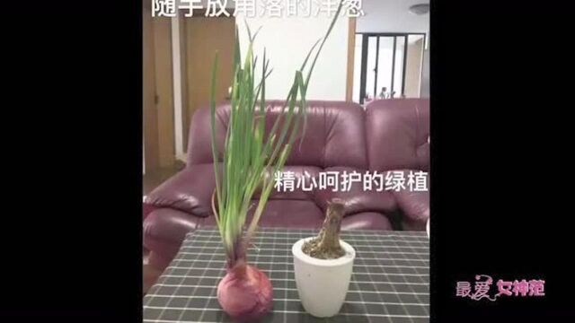 让人窒息的搞笑图,这个粉笔也太厉害了